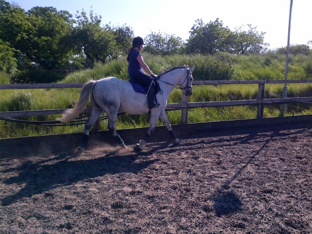 ¡Venga a subir con nosotros!